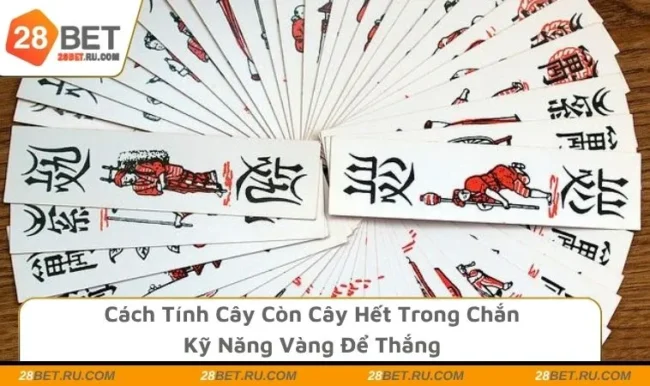 Cách Tính Cây Còn Cây Hết Trong Chắn - Kỹ Năng Vàng Để Thắng