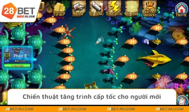 Chiến thuật tăng trình cấp tốc cho người mới