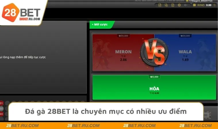 Đá gà 28BET là chuyên mục có nhiều ưu điểm