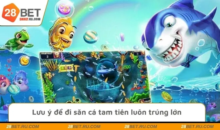 Lưu ý để đi săn cá tam tiên luôn trúng lớn