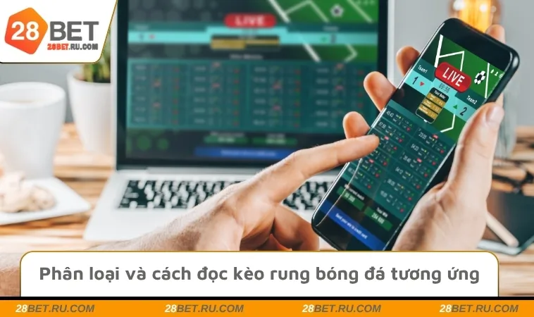 Phân loại và cách đọc kèo rung bóng đá tương ứng