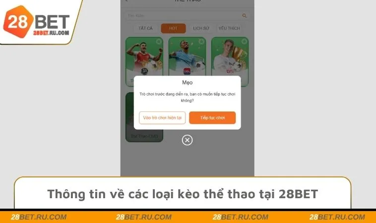 Thông tin về các loại kèo thể thao tại 28BET